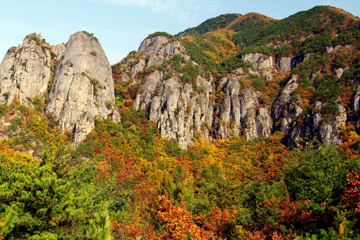 경상북도 청송군