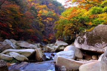 경상남도 합천군