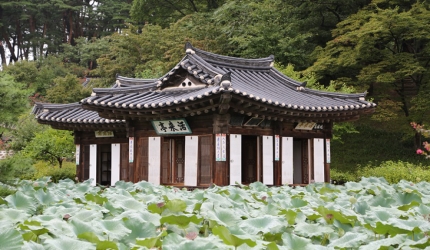 정갈한 옛 삶이 남아있는 곳, 강릉 선교장,강원도 강릉시