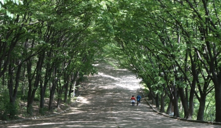 도심에서의 휴양! 계양산 산림욕장,인천광역시 계양구