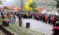 장성백양단풍축제