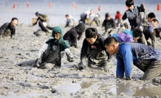 벌교꼬막축제