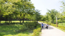 [탐사] 공원의 천국, 도시에 녹색을 입힌 서울 양천구,서울특별시 양천구