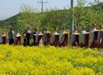 서운암들꽃축제,지역축제,축제정보