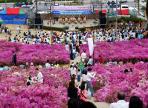 마포나루 새우젓축제,지역축제,축제정보