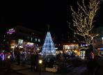 프로방스 별빛동화마을 빛축제,지역축제,축제정보