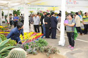 음성군새봄맞이꽃큰잔치,지역축제,축제정보