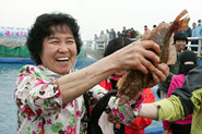 장항항 수산물 꼴갑축제,지역축제,축제정보