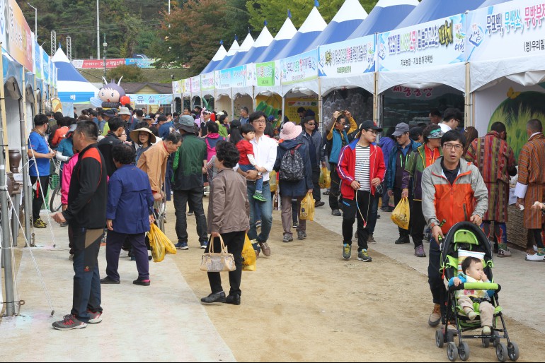 제주도 소원빛마루축제,지역축제,축제정보