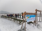 영월동강겨울축제,지역축제,축제정보