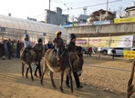 의왕단오축제,지역축제,축제정보