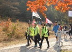 광릉 숲 축제,지역축제,축제정보