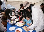 삼랑진 딸기한마당축제,지역축제,축제정보