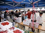 삼랑진 딸기한마당축제,지역축제,축제정보