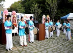 와룡산비룡제,지역축제,축제정보