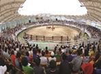 의령 전국민속소싸움대회,지역축제,축제정보