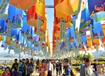 마산가고파 국화축제,지역축제,축제정보