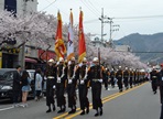 진해군항제,지역축제,축제정보