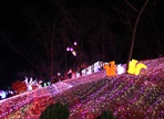 청도프로방스 별빛동화마을 빛축제,지역축제,축제정보