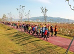 강서낙동강갈대꽃축제,지역축제,축제정보