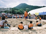 철마한우불고기축제,지역축제,축제정보