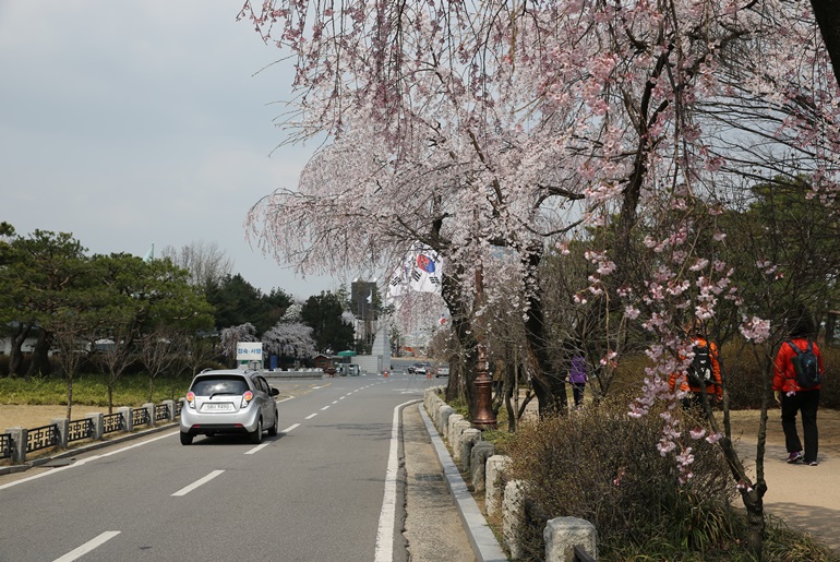 확대이미지