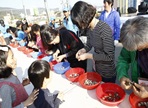 벌교꼬막축제,지역축제,축제정보