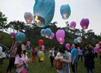 화순운주문화축제,지역축제,축제정보