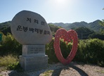 남원 바래봉 철쭉제,지역축제,축제정보