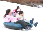 대둔산 수락계곡 얼음축제,지역축제,축제정보
