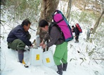 장성 백양고로쇠 축제,지역축제,축제정보