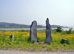 금강자연미술비엔날레,지역축제,축제정보