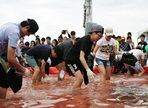 서천 홍원항 자연산 전어 · 꽃게축제,지역축제,축제정보