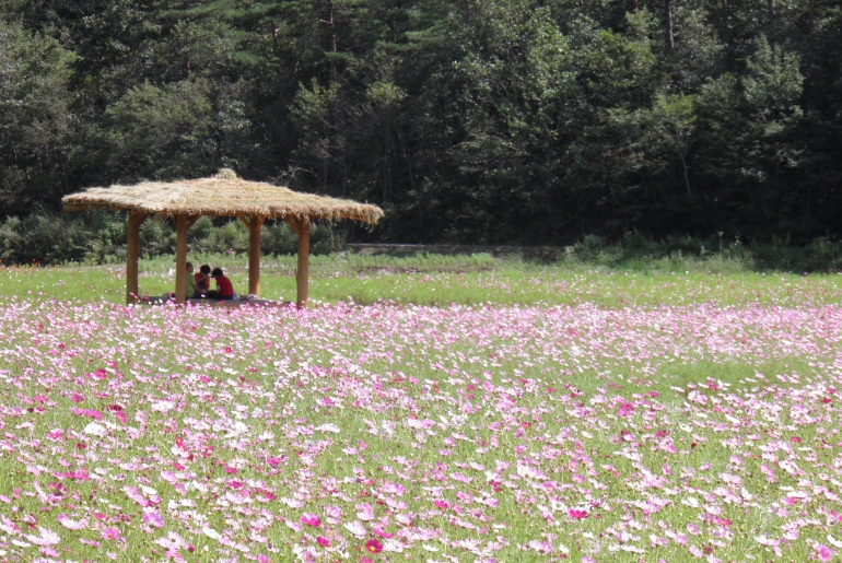 확대이미지