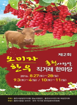 홍천 오미자사랑말한우축제,지역축제,축제정보