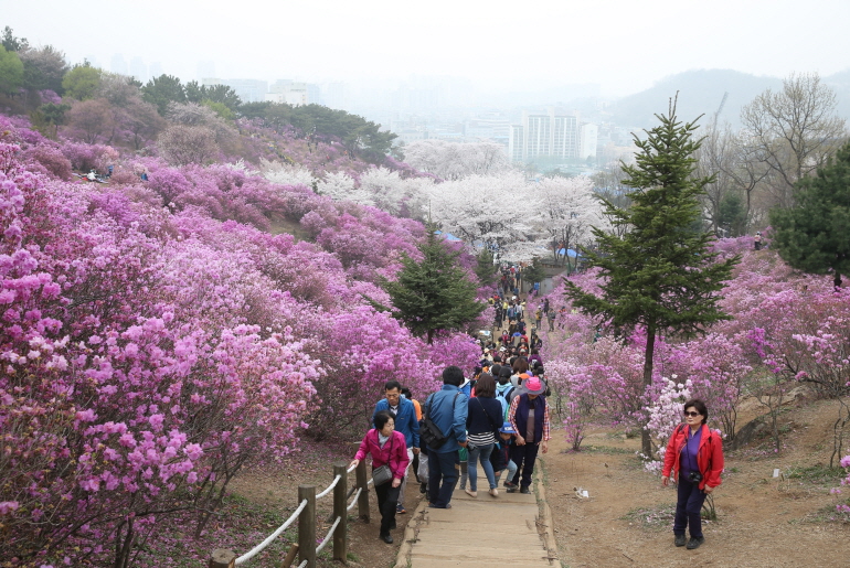 확대이미지