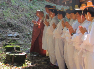 초의문화제,지역축제,축제정보