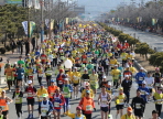  밀양아리랑마라톤대회,지역축제,축제정보