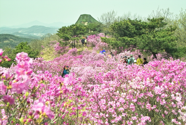 확대이미지