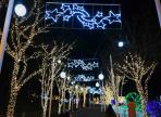 울산대공원 장미원 빛축제 ,지역축제,축제정보