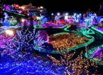 허브아일랜드 불빛동화축제,지역축제,축제정보
