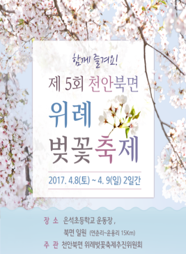 천안북면위례벚꽃축제,지역축제,축제정보