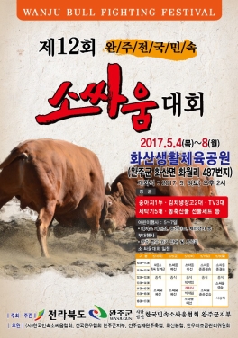 완주소싸움대회,지역축제,축제정보