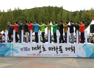 청원생명쌀 대청호마라톤대회,지역축제,축제정보