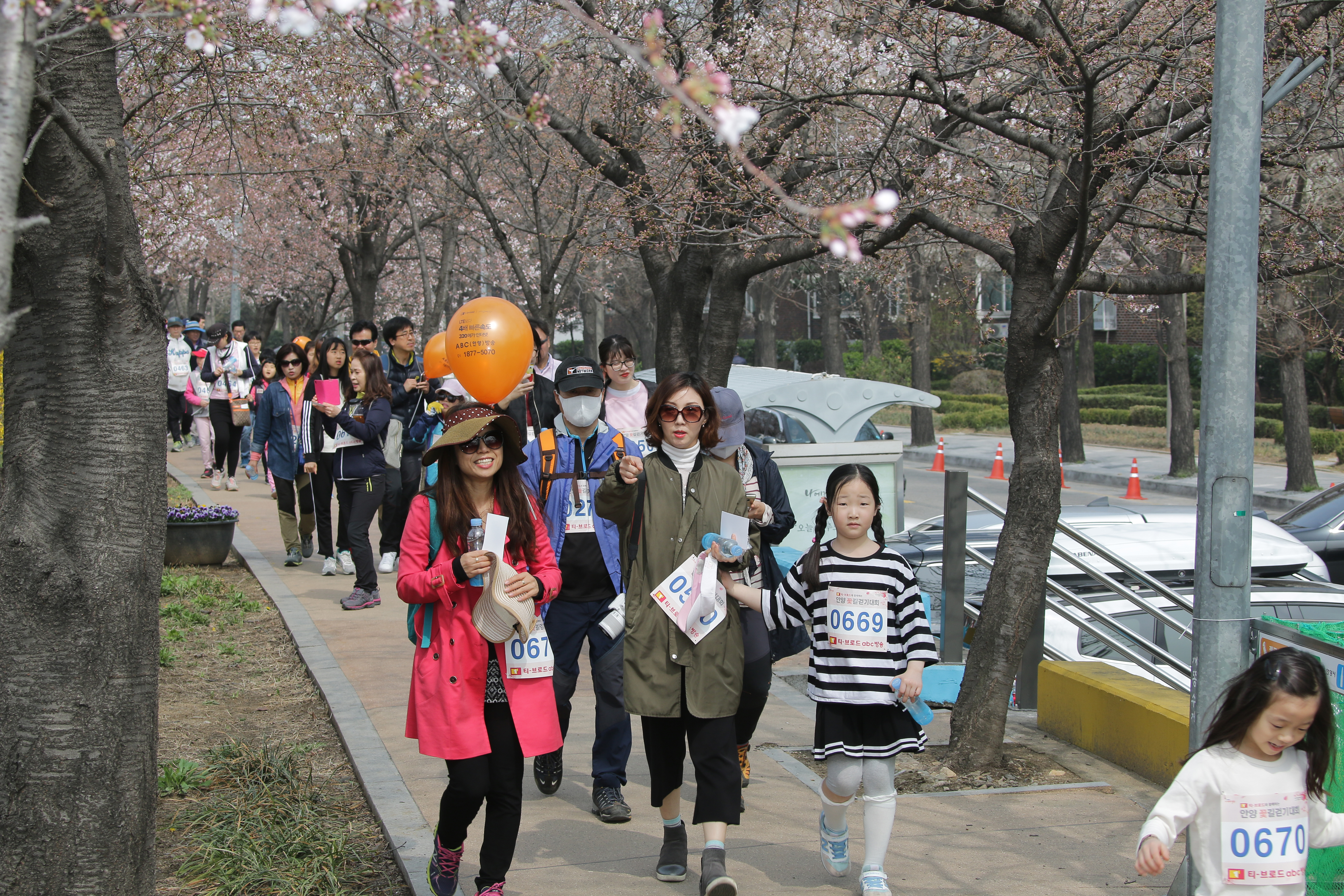 안양충훈벚꽃축제,지역축제,축제정보