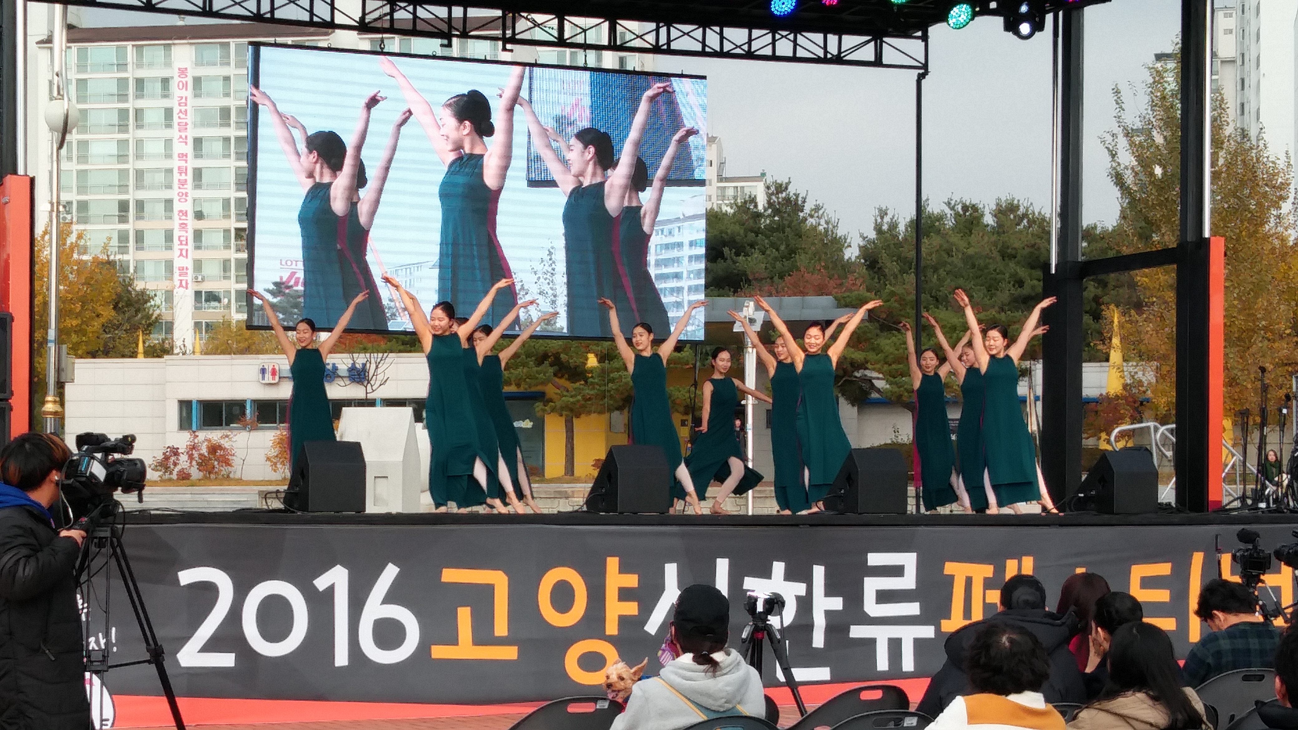 고양 신한류페스티벌,지역축제,축제정보