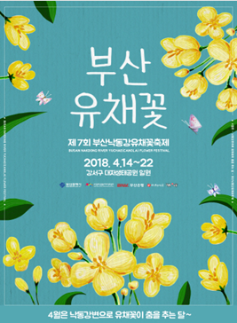 부산 낙동강 유채꽃 축제,지역축제,축제정보