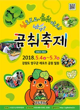 청춘양구 곰취축제,지역축제,축제정보