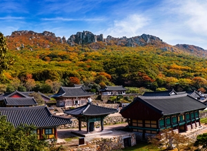 달마고도 힐링축제,지역축제,축제정보