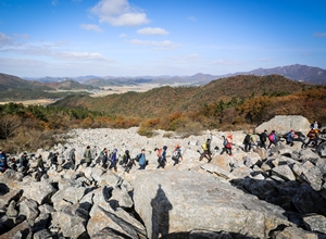 달마고도 힐링축제,지역축제,축제정보